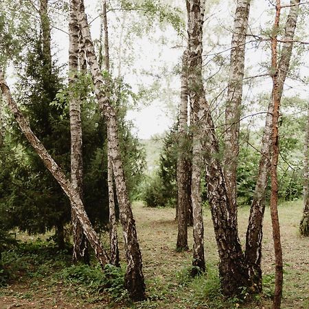 Berzu Namelis - Birch Cabin Kutsyuny Екстериор снимка