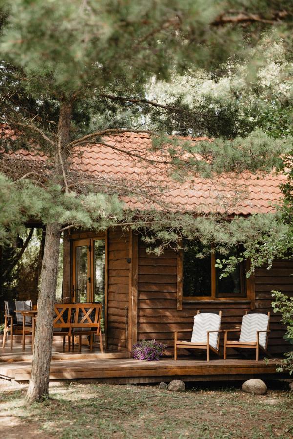 Berzu Namelis - Birch Cabin Kutsyuny Екстериор снимка
