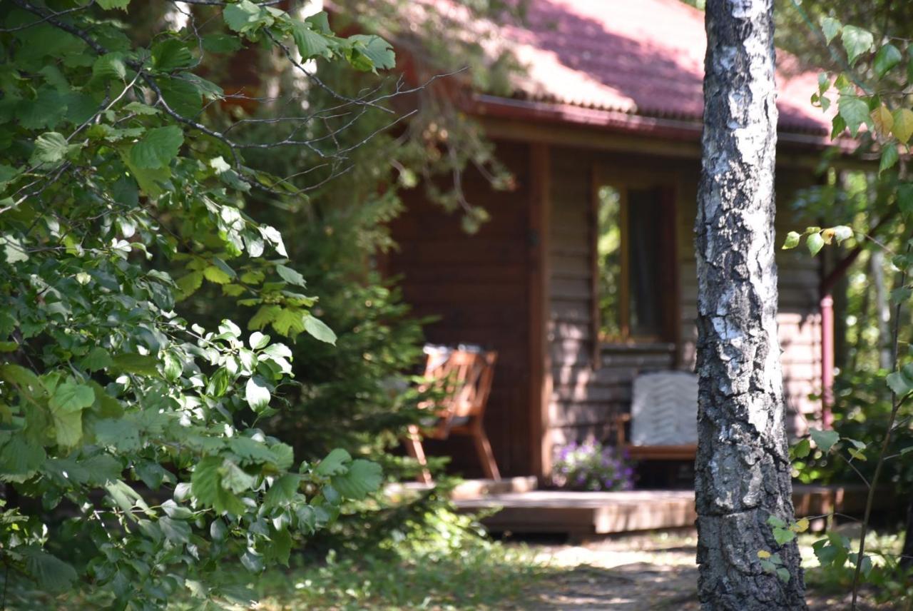 Berzu Namelis - Birch Cabin Kutsyuny Екстериор снимка