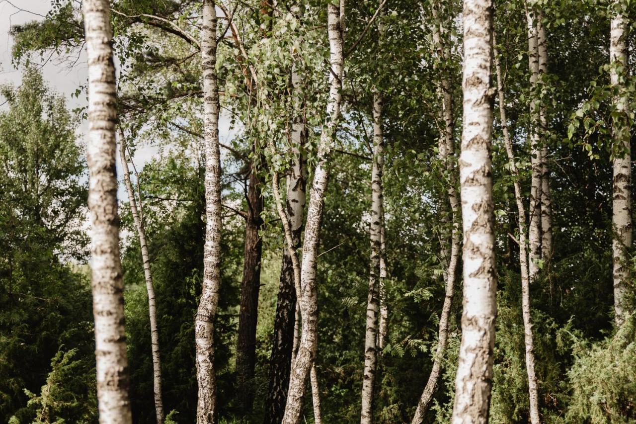Berzu Namelis - Birch Cabin Kutsyuny Екстериор снимка